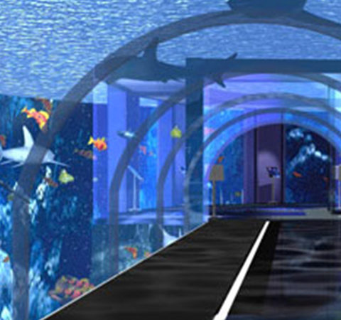 Mediterraneum – Acquario di Roma  